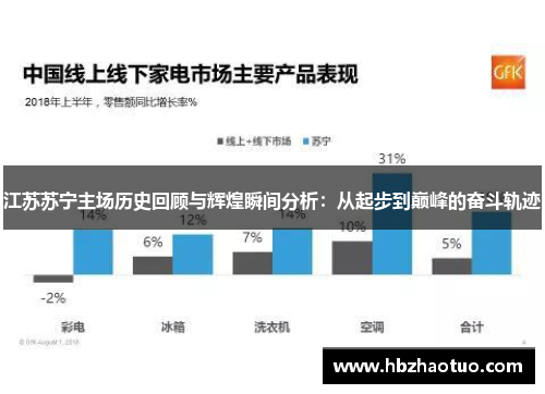 江苏苏宁主场历史回顾与辉煌瞬间分析：从起步到巅峰的奋斗轨迹